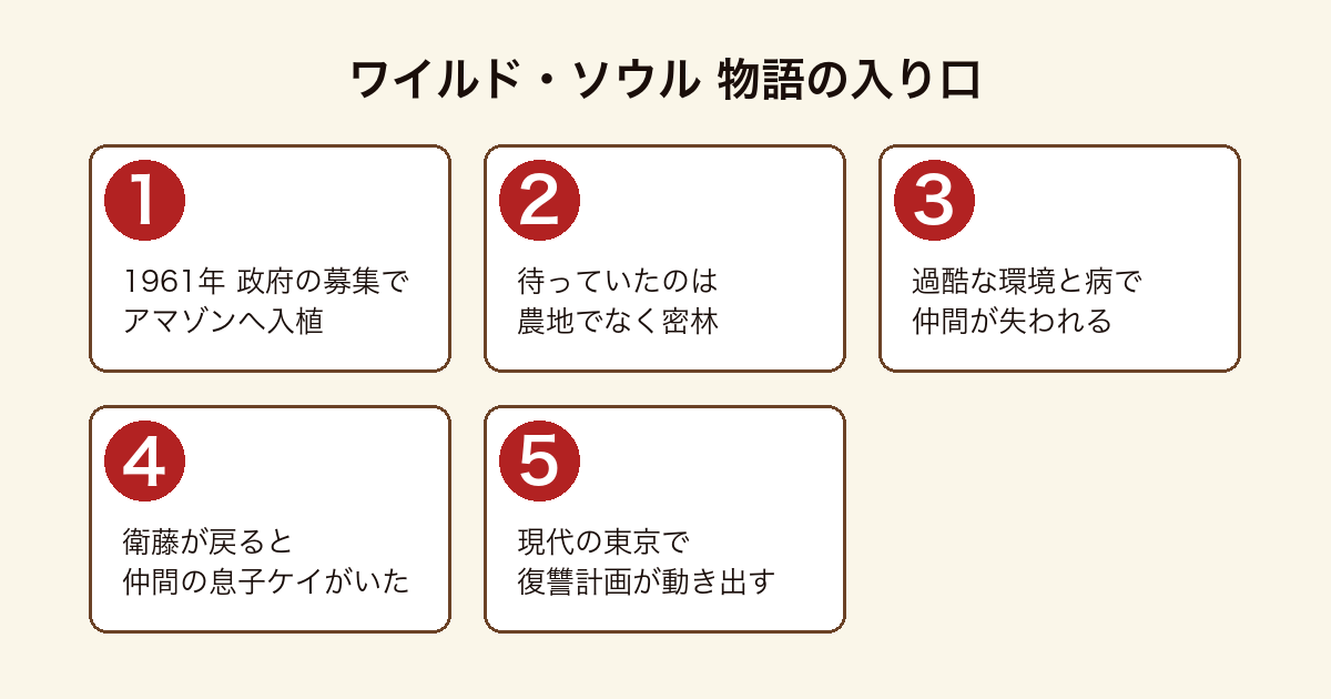 ワイルド・ソウル の物語の入り口を順に示した図