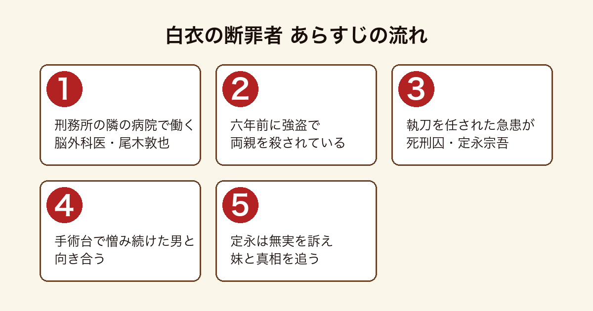 白衣の断罪者のあらすじを順に示した図